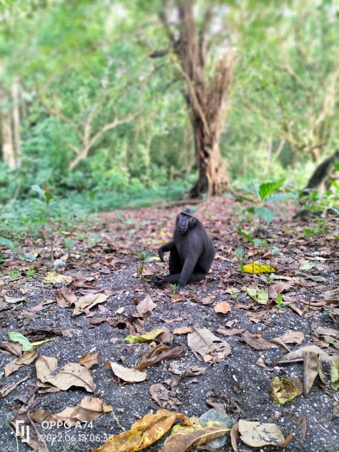 Tangkoko Sanctuary Villa Bitung Esterno foto