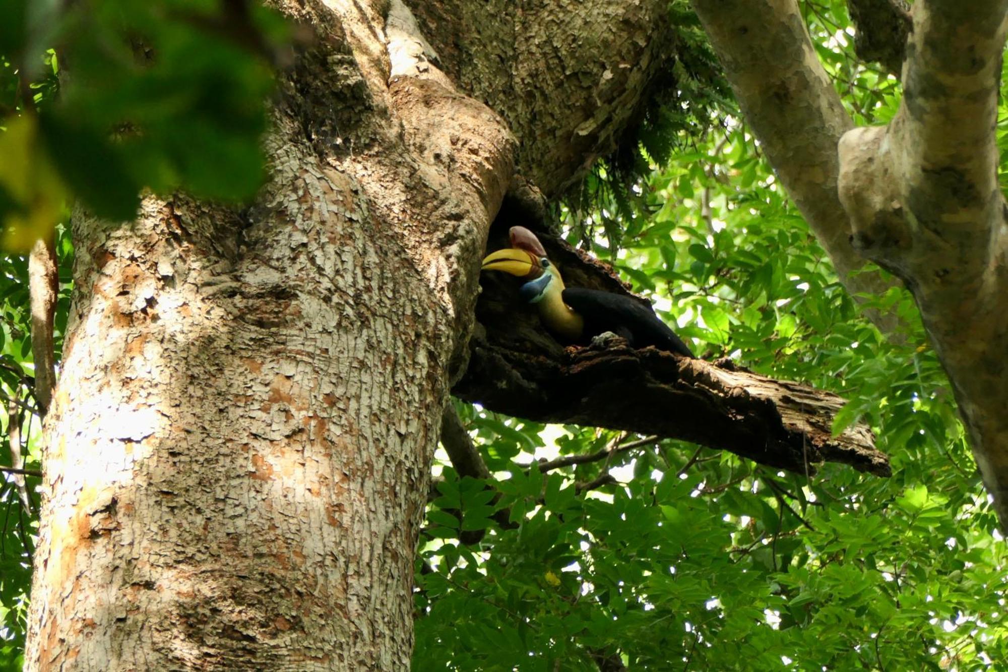 Tangkoko Sanctuary Villa Bitung Esterno foto