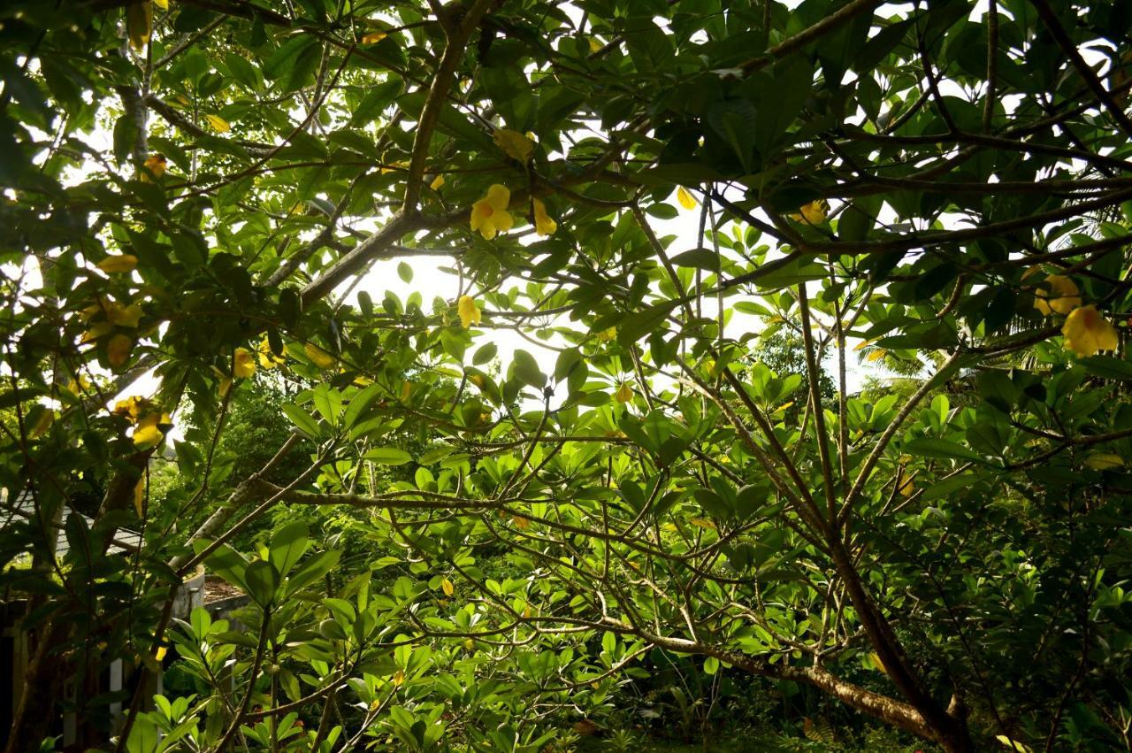 Tangkoko Sanctuary Villa Bitung Esterno foto