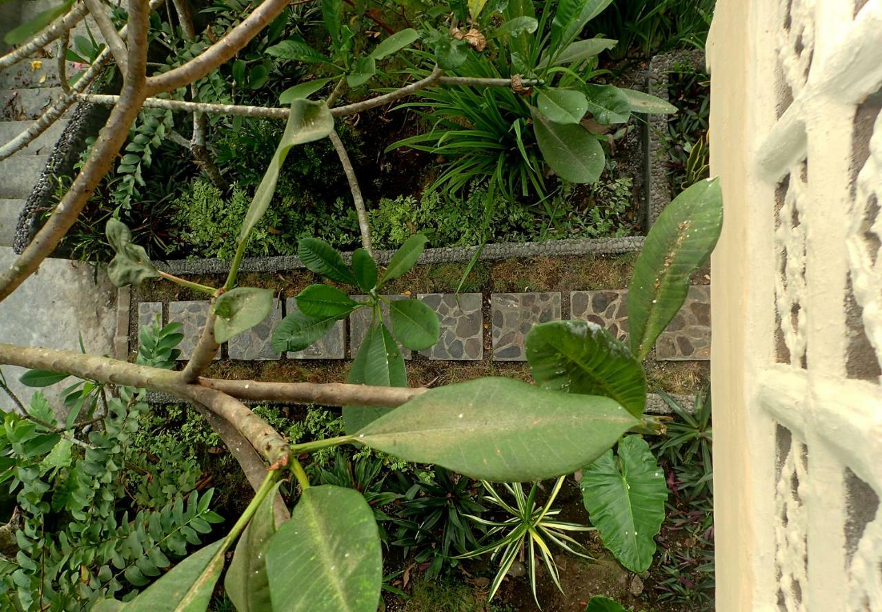 Tangkoko Sanctuary Villa Bitung Esterno foto
