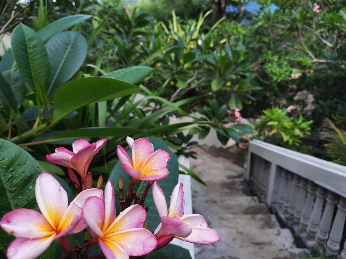 Tangkoko Sanctuary Villa Bitung Esterno foto